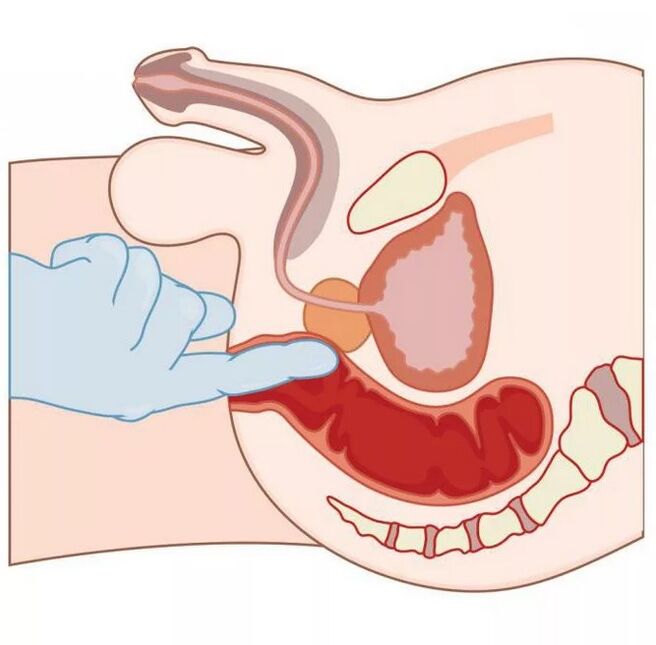 Տղամարդկանց G կետի գտնվելու վայրը